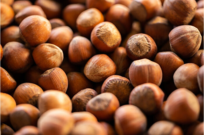 Türkiye, fındık ihracat sezonunun ilk üç ayında 547 milyon doları aşkın gelir sağladı