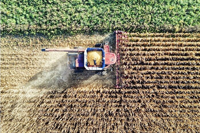 İngiltere tarımında iklim krizi kaybı 800 milyon sterlini aştı