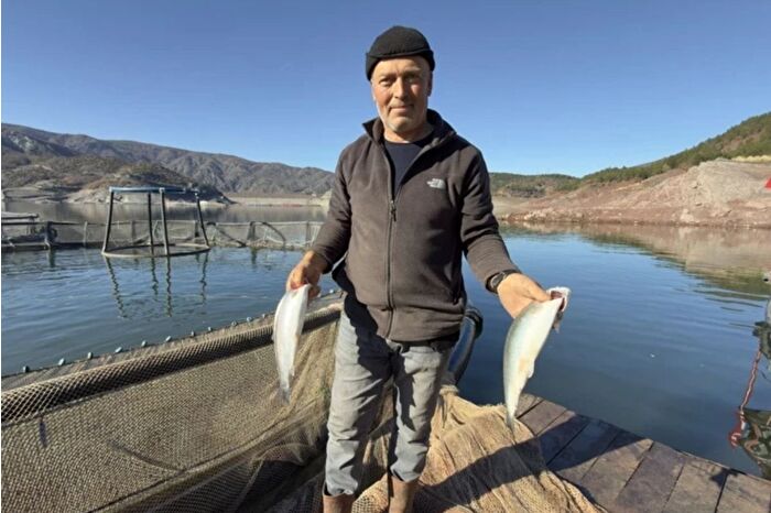 Denizi olmayan Almus'ta Türk somonları yetişiyor, üretim hedefi ise 150 ton