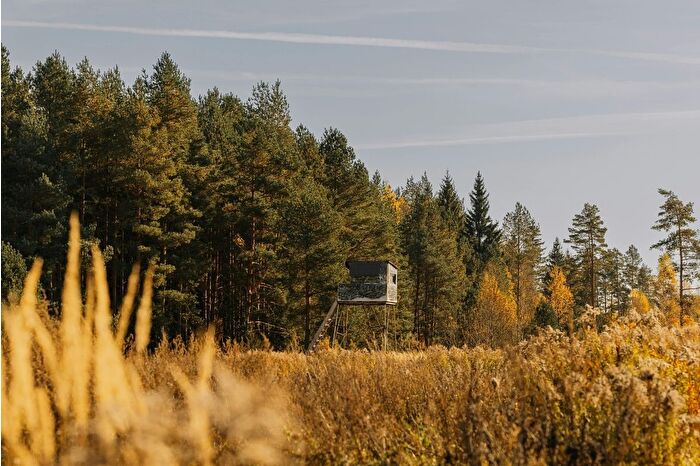 İstanbul'da elektrikli şoklu avcılığa 750 bin lira para cezası