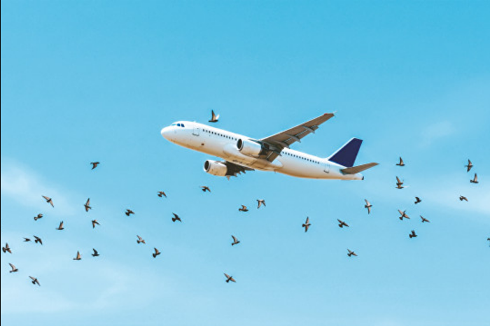 Havalimanlarında kuş ve dron tehlikesine karşı yerli sistem geliyor