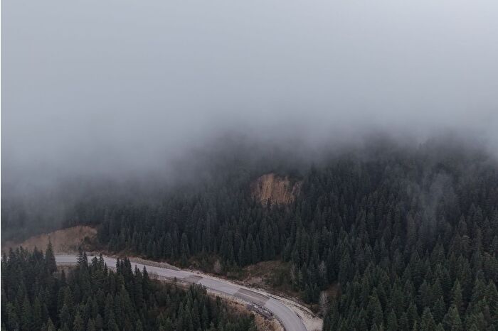 Ilgaz'da sis çam ağaçlarıyla bütünleşti