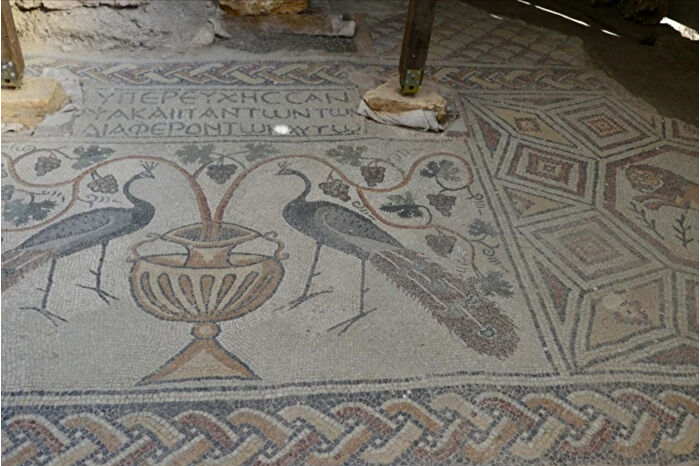 Hadrianopolis Antik Kenti'nde zemini mozaiklerle süslenmiş kabul salonu gün yüzüne çıkarıldı
