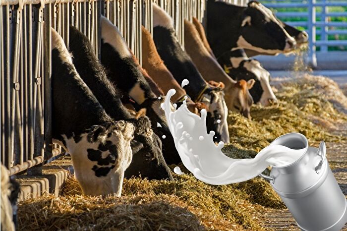 Toplanan inek sütü miktarı ekim ayında geçen yıla göre yüzde 3,2 azaldı