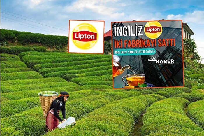 İlk kez PD duyurmuştu, Lipton'un Türkiye'deki üretim fabrikalarının Öz-Gür Çay Sanayi'ye devri tamamlandı