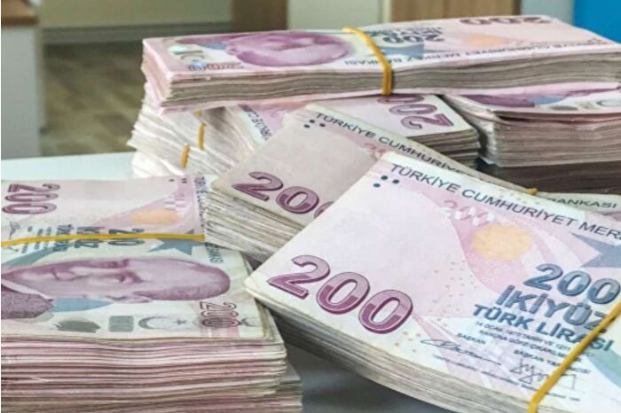 Kasım ayı itibarıyla dış borç stoku 13,3 trilyon TL oldu