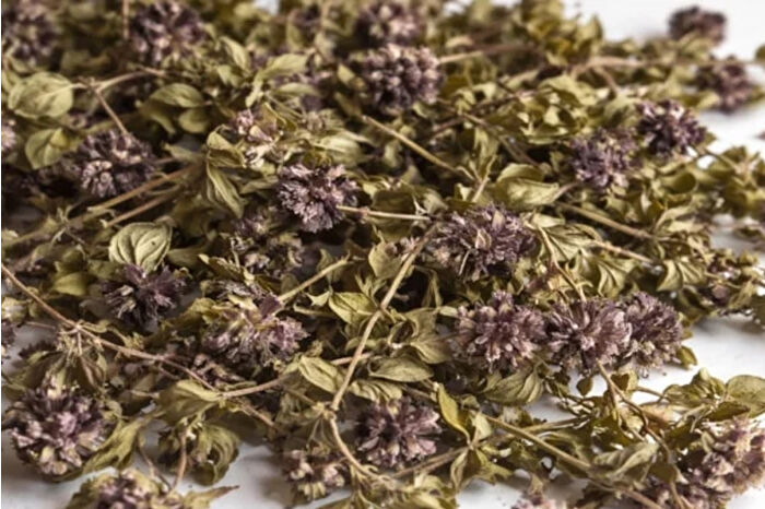 Artvin’de endemik yayla çayı çiçeğini Gürcistan’a kaçırmak isteyen kişiye 557 bin lira ceza