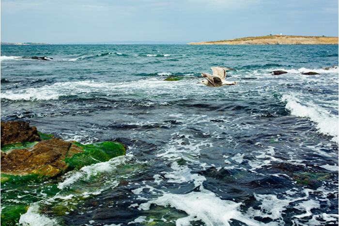 Karadeniz'de büyük tehlike, 12 santim yükselmede 160 milyon insanın etkilenmesi söz konusu