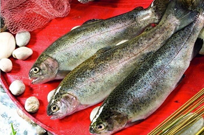 Türk somonu ihracatta hızlı büyüyor, hedef  2-3 yıl içerisinde milyar dolar seviyesine çıkmak