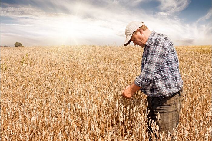 Çiftçi Kayıt Sistemi'ne kayıtlarda son 3 gün