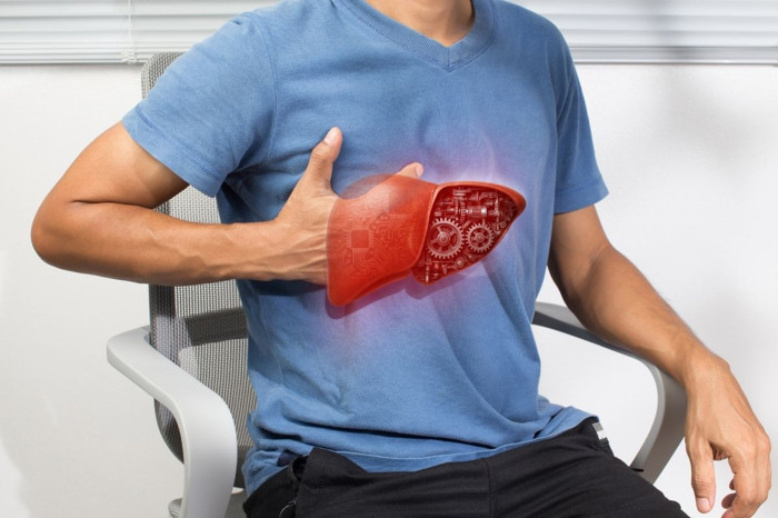 Düşük proteinli diyet karaciğer kanserinin ilerlemesini yavaşlatabilir