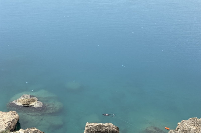 Antalya Körfezi'nde göçmen denizanası yoğunluğu yaşanıyor