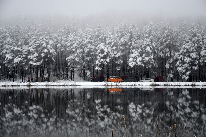 Düzce'deki Topuk Yaylası karla kaplanınca eşsiz manzara oluştu