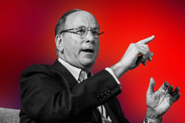 BlackRock CEO'sundan yatırım tavsiyesi