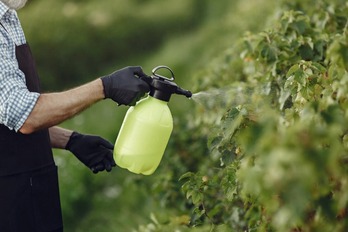 TÜBA, pestisitlerin gıda güvenliği ve halk sağlığı üzerindeki etkilerini 3-4 Nisan’da sempozyumda ele alacak
