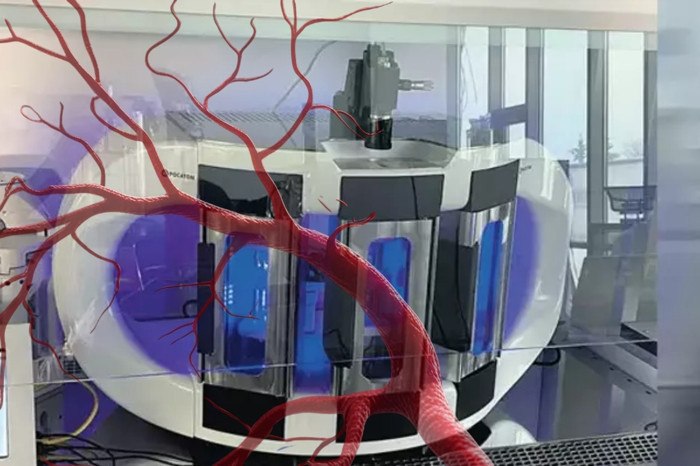 Rusya’da laboratuvarda üretilen yapay damar tavşana başarıyla nakledildi