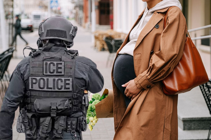 Doğum için ABD'ye gidecekler dikkat, Göçmenlik ve Gümrük Muhafaza birimleri hamile turist avına başladı