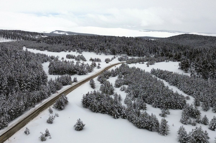 Sarıçam ormanlarının eşsiz manzarası görüntülendi