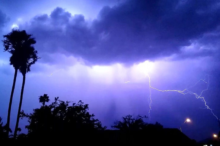 Yağmurdan korunmak için sığındıkları ağaca yıldırım düştü, 2 çocuk hayatını kaybetti, bir çocuk ağır yaralandı