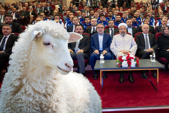 Diyanet İşleri Başkanı Safi Arpaguş açıkladı, vekalet yoluyla kurban kesim bedelleri belirlendi