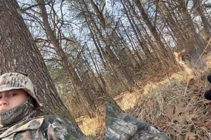 Hindi avına çıkan genç avcıya vaşak sürprizi gündem oldu