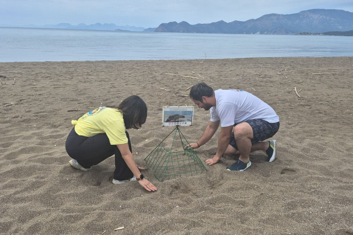 Muğla'daki İztuzu caretta carettalar için hazırlandı