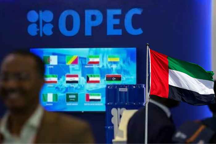 Birleşik Arap Emirlikleri, OPEC'ten ayrılma kararını açıkladı