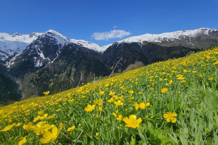 Kaçkar Dağları'nda bahar renkleri