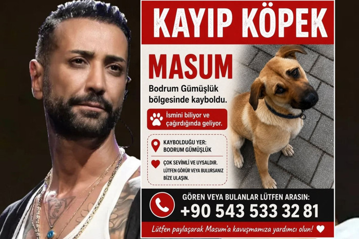 Tan Taşçı’dan kayıp köpeği “Masum” için yardım çağrısı
