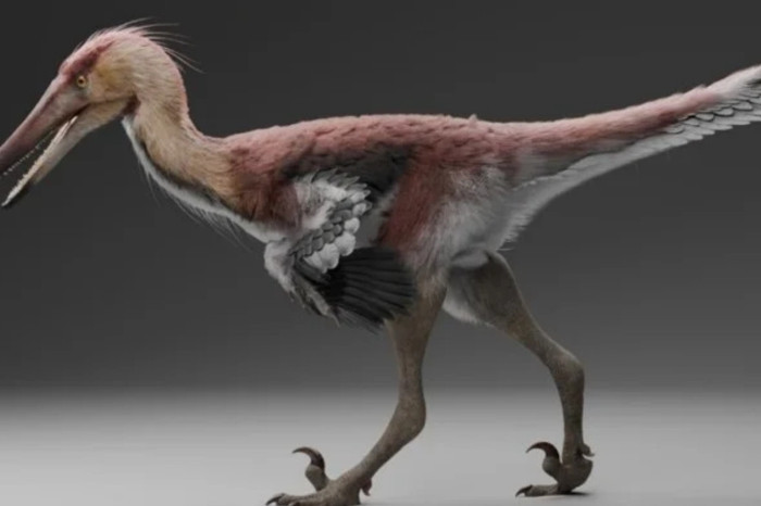 Patagonya’da keşfedilen 70 milyon yıllık yeni dinozor türü, avlanma şekliyle modern balıkçılları şaşırtıcı biçimde andırıyor