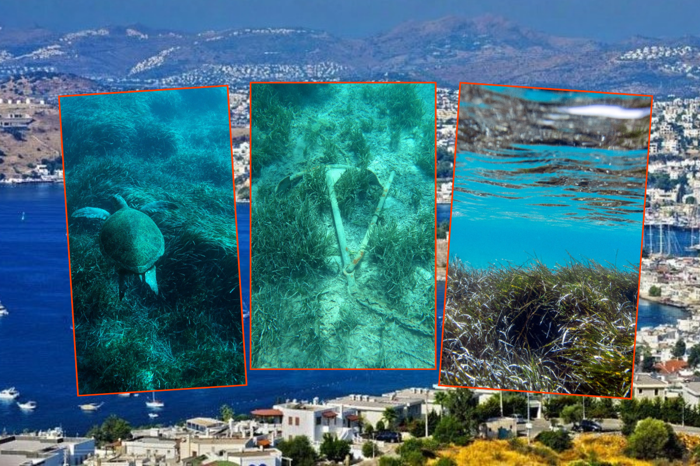 Bodrum'da yerin üstü betonla doldu, denizin altında ise bilimsel araştırmalara göre yaşam yok olmak üzere