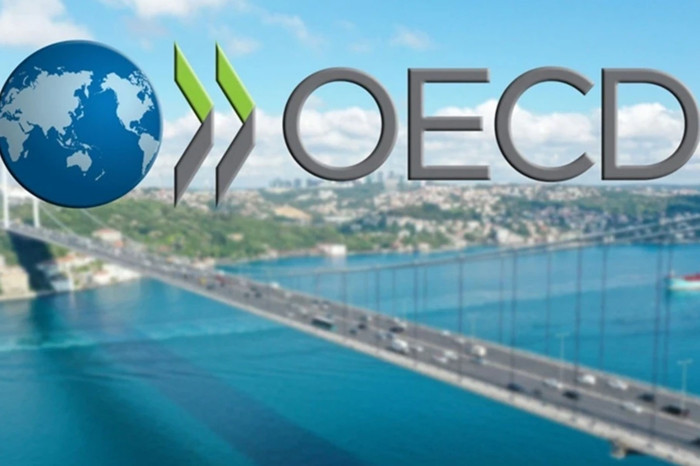 Küresel vergi liginde Avrupa zirvede, Türkiye yüzde 24 ile OECD ortalamasının altında