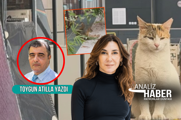 Vuslat Doğan, doğaya ve şehre bir sincap ve kedi ile baktı