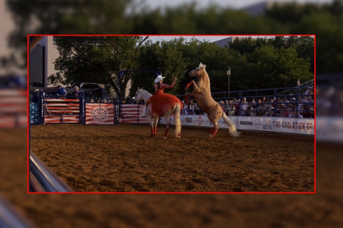 ABD'de renkli 'Büyük Amerikan Eyalet Panayırı ve Rodeo Festivali'