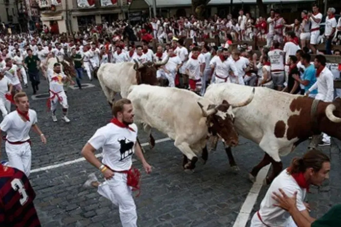 İspanya'da insanların boğalarla sokakta koşturduğu San Fermin Festivali başladı