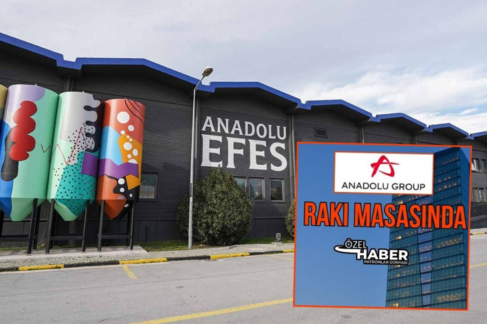 Tariş Üzüm'ün Anadolu Grubu iştiraki Anadolu Efes'e devri tamamlandı, böylece grup alkollü içecek listesine rakıyı da ekledi