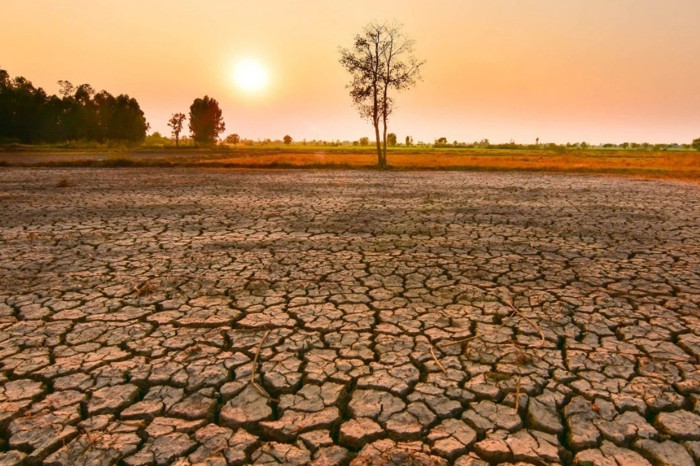 İklim krizi ve El Nino birleşti, dünyada milyonlarca kişiyi açlık ve gıda krizi bekliyor