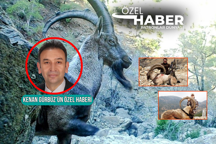 Muğla'da 'yaban keçileri öldürülmesin' kampanyası kapsamında 7 binden fazla imza toplandı