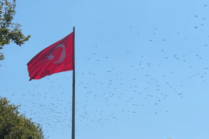 İstanbul semalarındaki binlerce leyleğin göç yolculuğu kameralara yansıdı