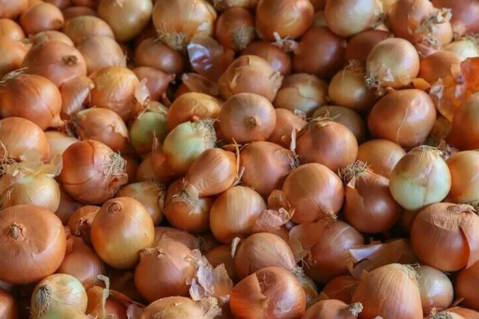 Kuru soğan ve yağlık ayçiçeği tohumu ithalatında gümrük vergilerine düzenleme