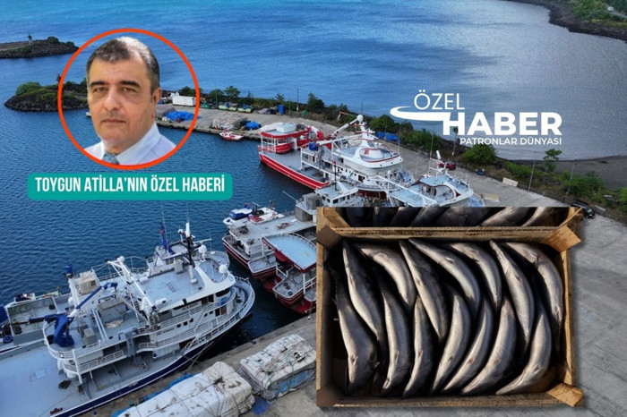 Ağlarda palamut, kasada milyar dolar, işte Türkiye’nin balık ekonomisi