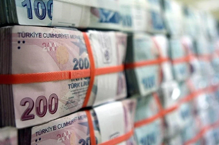 Hazine alacakları ağustos sonu itibarıyla 256,2 milyar lira oldu