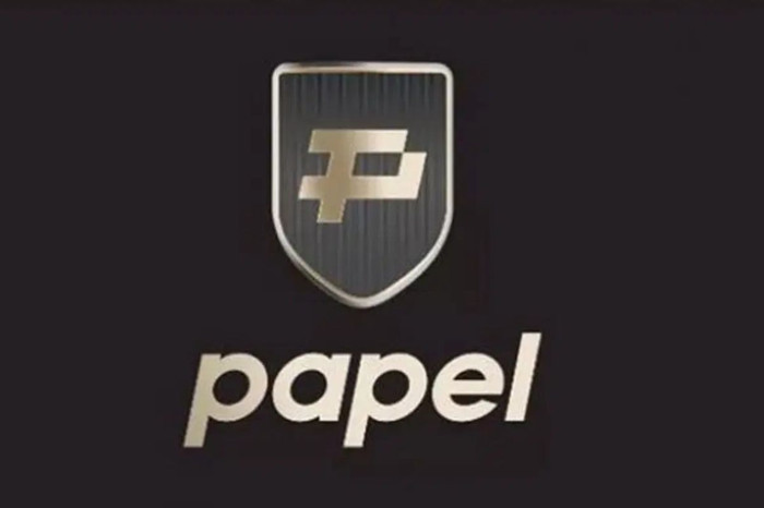 Papel Ödeme Hizmetleri’nin faaliyet izni iptal edildi