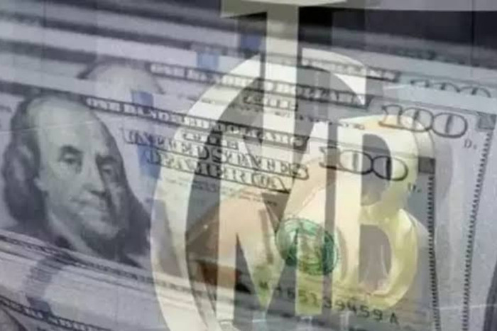 Merkez Bankası rezervleri 174,4 milyar dolar oldu
