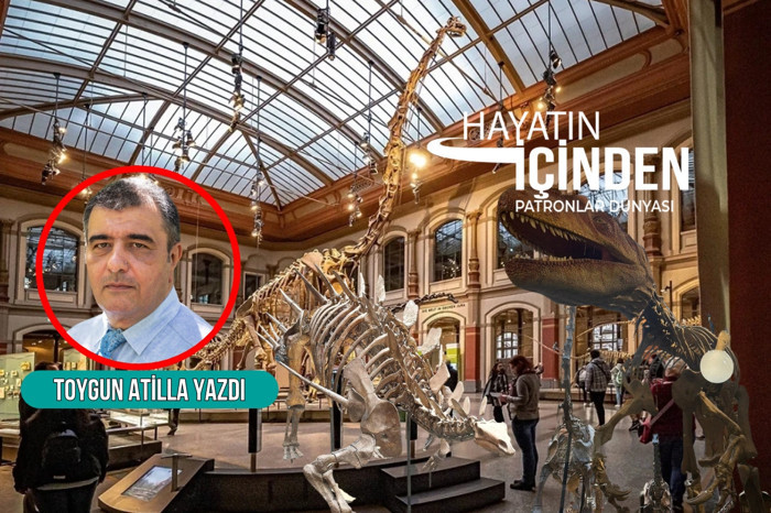 Berlin'de 150 milyon yıl önce yaşamış dev dinozorların iskeletleri arasında dolaşırken aklıma neler geldi?