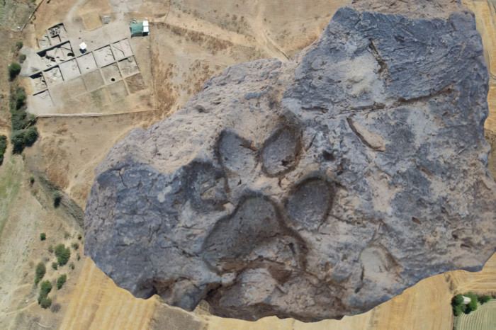 4 bin yıllık pati izleri Tavşanlı Höyük kazılarında bulundu