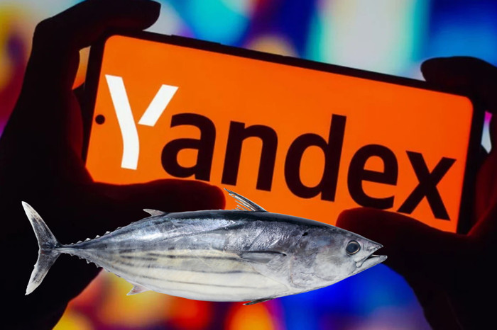 Yandex Türkiye arama verileri paylaşıldı, palamut araması 3 kat arttı