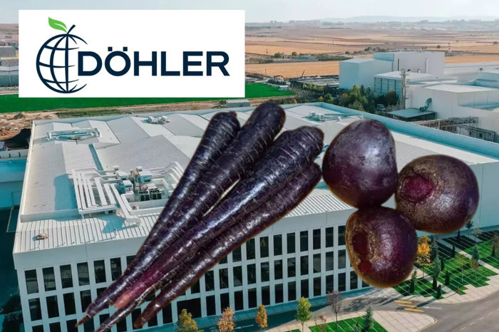 Türkiye’de 7 fabrika işleten Alman Döhler, 2011'de satın aldığı Karaman fabrikasında siyah havuç ve pancardan doğal kırmızı boya üretimini büyütüyor