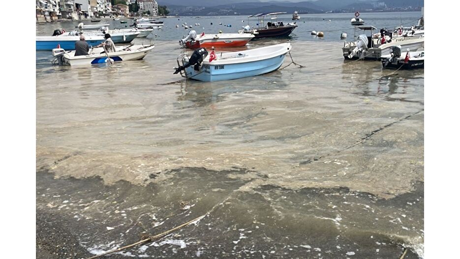 Marmara Denizi'nde Bursa kıyılarında müsilaj görüldü