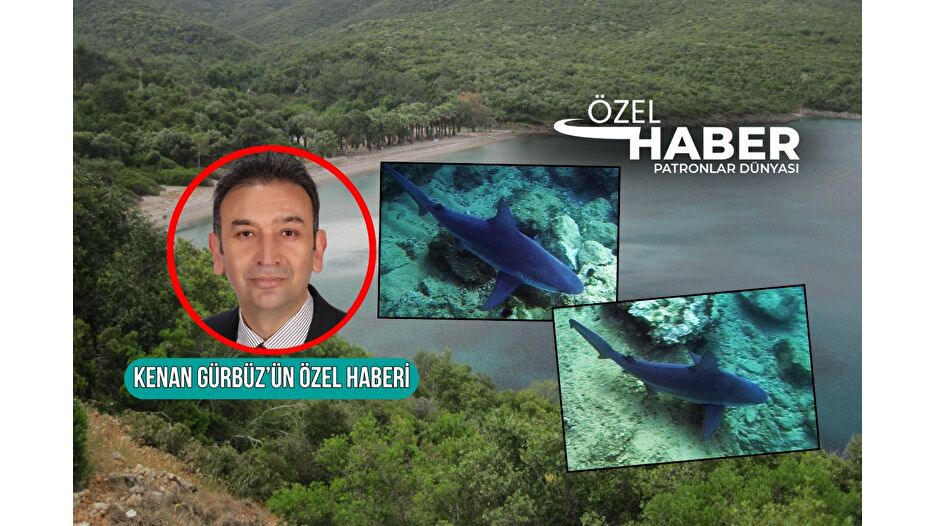 Cennet koylarda Jaws alarmı